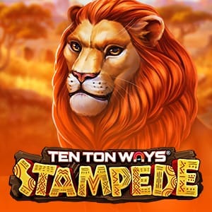 Ten Ton Ways Stampede 96