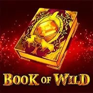 Book of Wild1spin4win game thumbnail